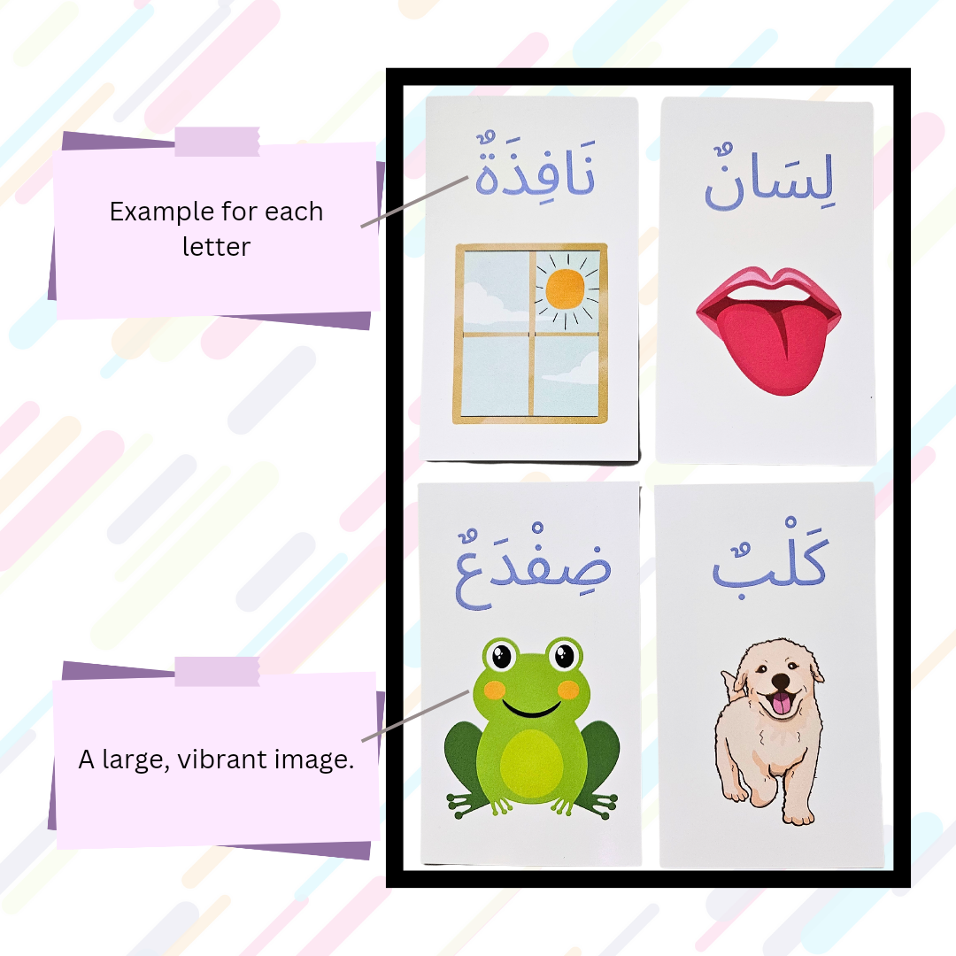 Arabic Letter Quest Flashcards (Early Learners)
