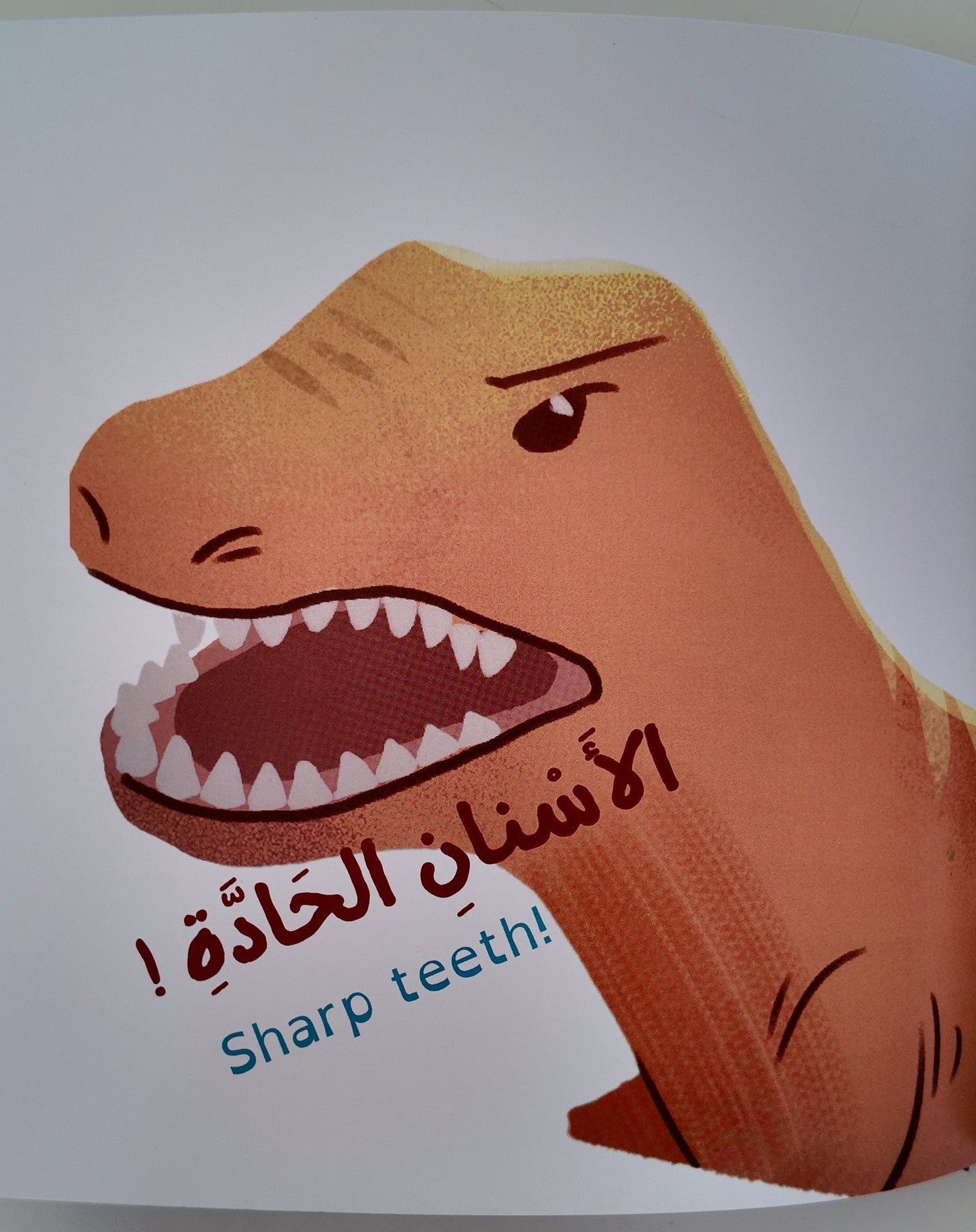 Jurassic-Mile - Hardcover Picture Storybook