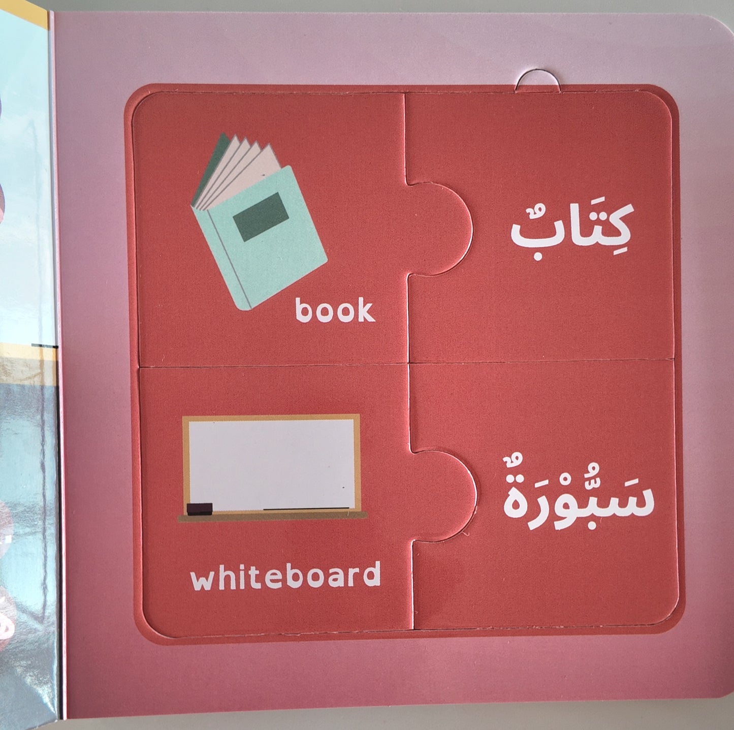 Thematic Puzzle Books