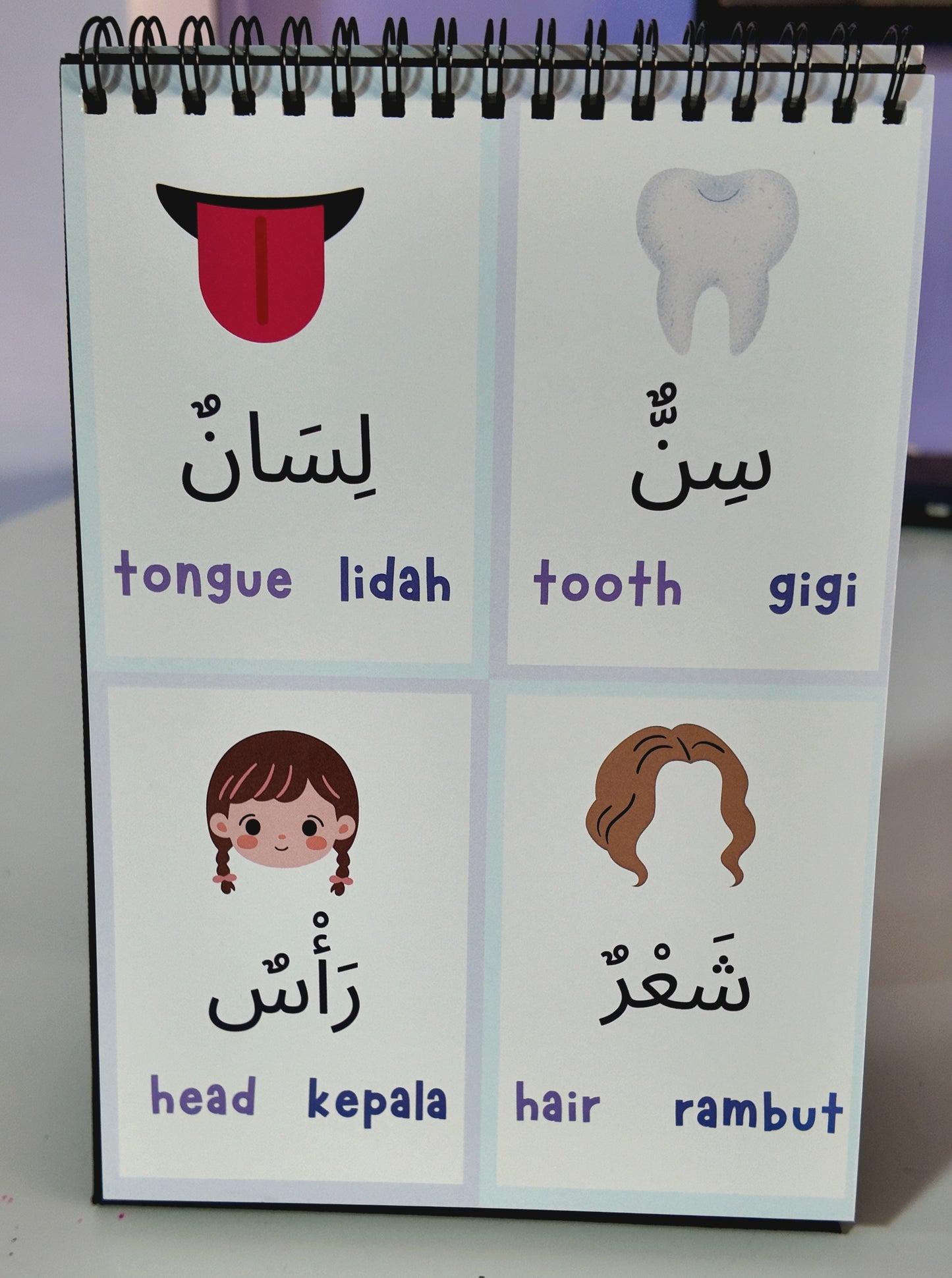 Vocabulary for MET (3 Languages) - A Flip-It-Over Resource Level 1