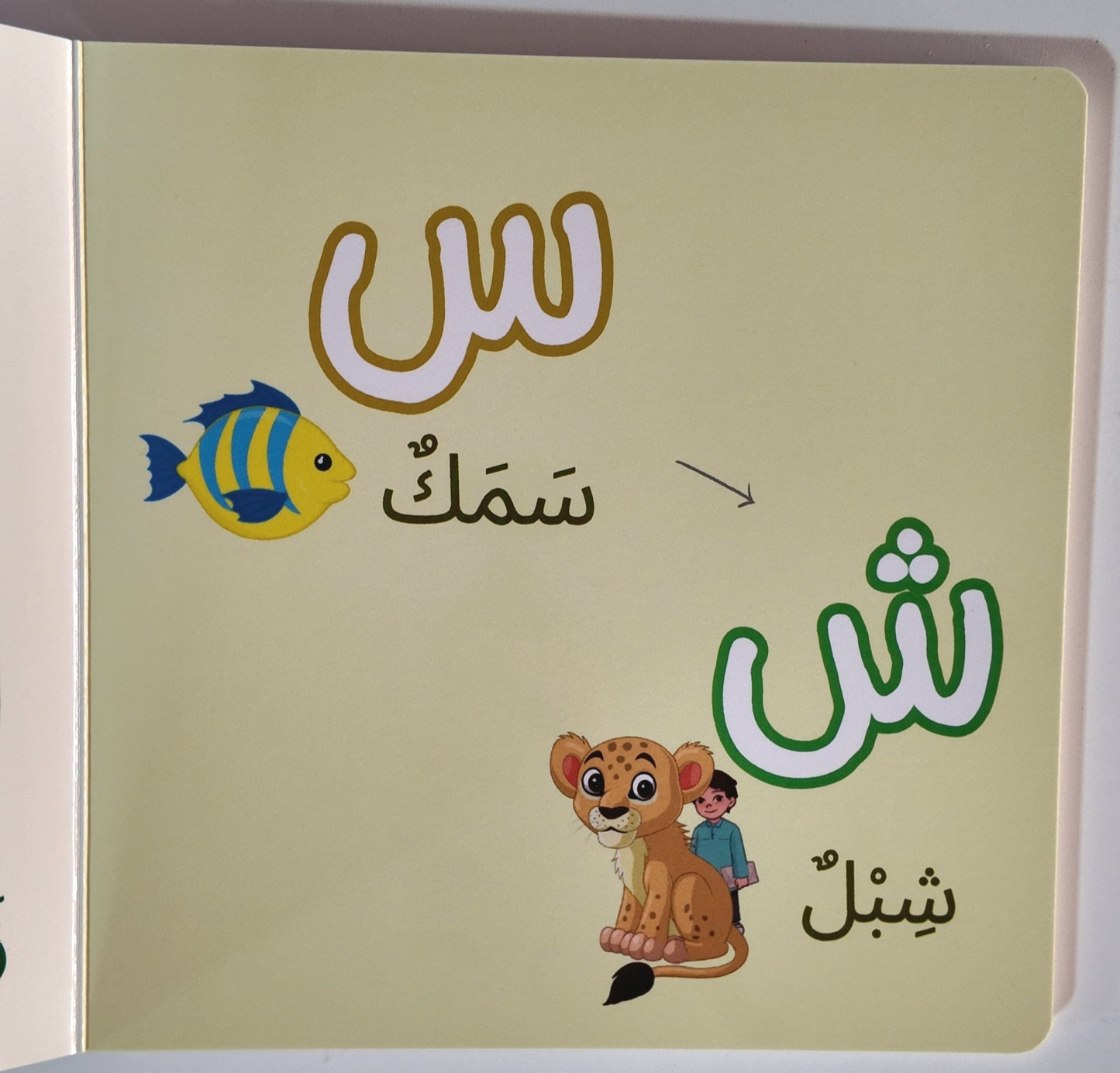Arabic Letters (Dry-Erase) - Age 3 and up