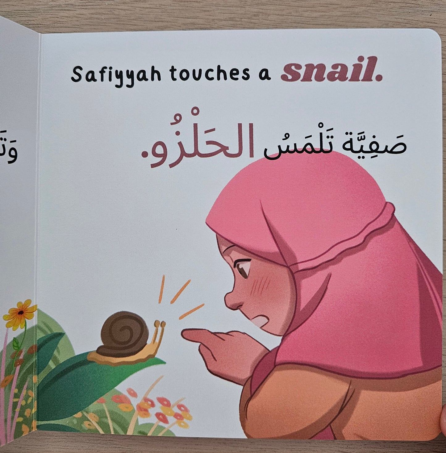 SAFIYYAH AT THE PARK - A BILINGUAL BOARDBOOK