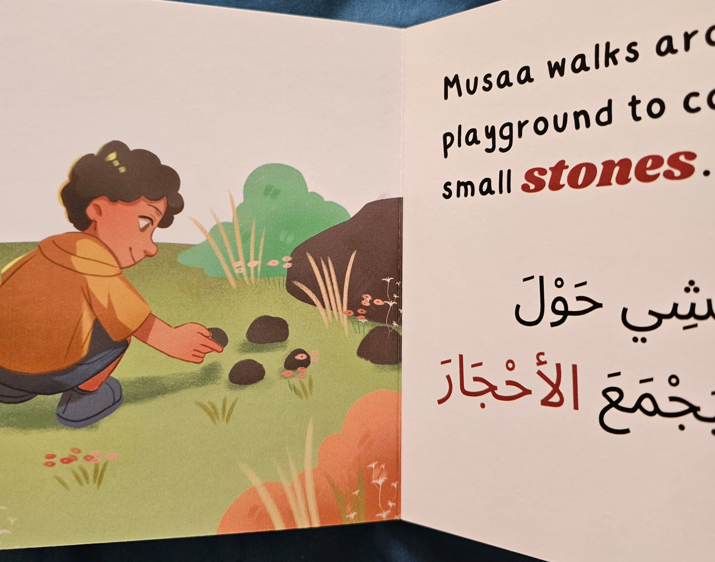 STICKS & STONES - A BILINGUAL BOARDBOOK