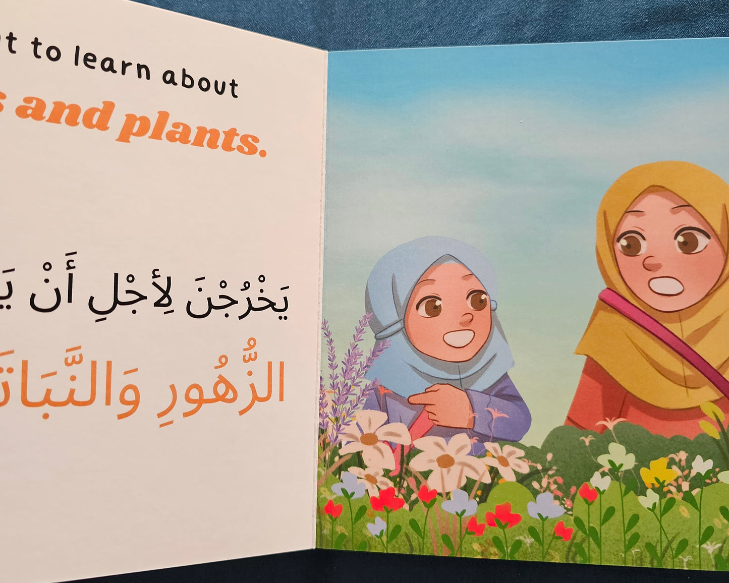 Gardens by the Bay - a BILINGUAL BOARDBOOK