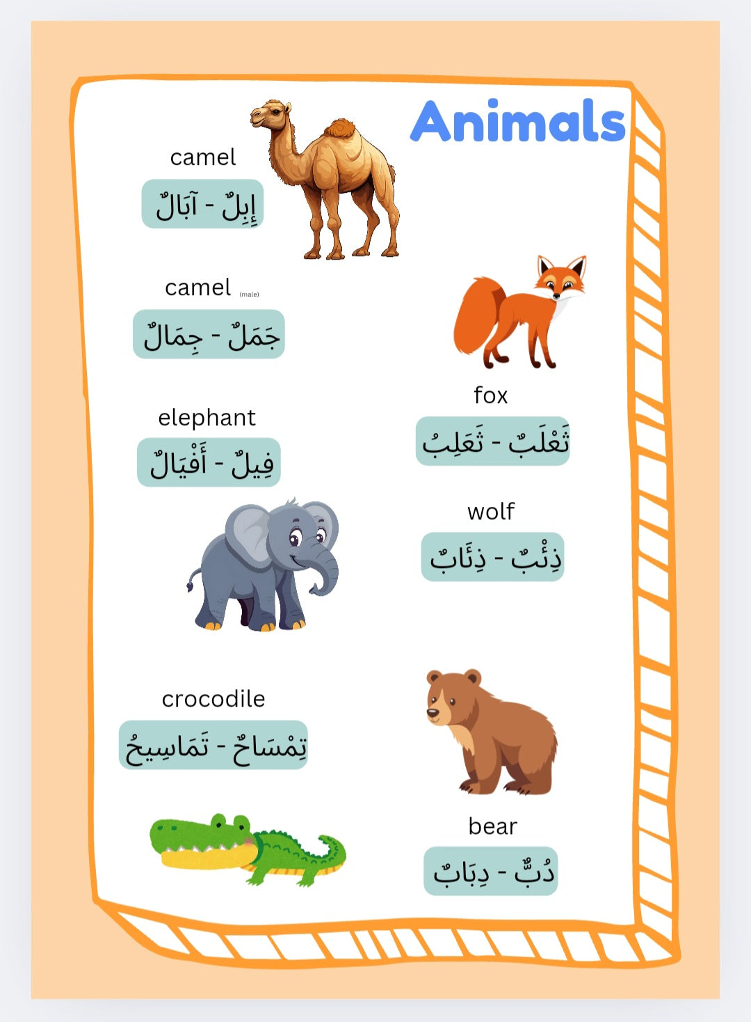 Compilation of Broken Plurals (Jama' Taksir)