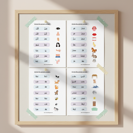 (Complimentary) Digital - Arabic for MET (Vocabulary)