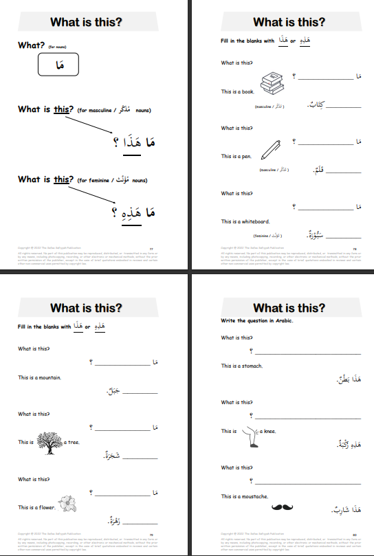 Reading and Understanding Arabic for our Little Ones - Preparing for Primary 1 [ARABIC ASSESSMENT BOOKS]