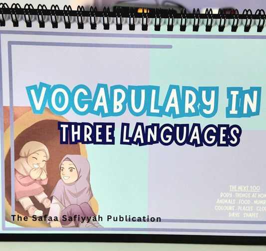 Vocabulary for MET (3 Languages) - A Flip-It-Over Resource Level 2