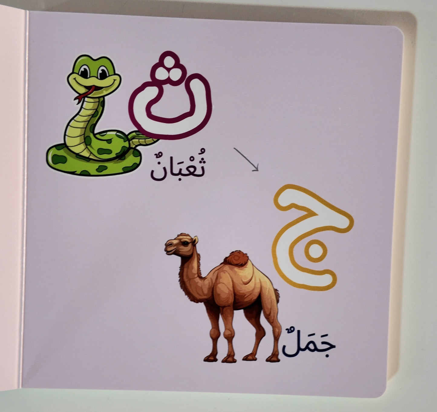 Arabic Letters (Dry-Erase) - Age 3 and up